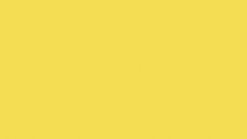 GI Yellow painting
